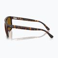 Okulary przeciwsłoneczne Ray-Ban RB2213 havana/brwon b-15 6