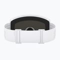 Gogle narciarskie Bliz G001 matte white/brown/green multi 8