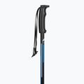 Kije narciarskie Fizan Action blue 2