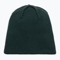 Czapka zimowa EA7 Emporio Armani Mountain Logo Series Big Beanie silver pine 4