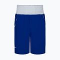 Spodenki bokserskie męskie Nike Boxing royal