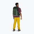 Plecak turystyczny męski Osprey Talon 22 l green canopy/pine leaf 6