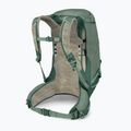 Plecak turystyczny męski Osprey Stratos 34 l pine leaf 4