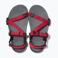 Sandały barefoot dziecięce Xero Shoes Z-Trail charcoal/red pepper 12