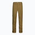 Spodnie męskie Royal Robbins Half Dome coyote 5