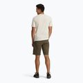 Koszulka męska Royal Robbins RR Graphic chalk chock pt 3