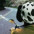 Nakładka na kask COOLCASC Dalmatian 8