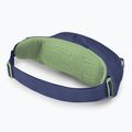 Saszetka nerka Osprey Daylite Waist 2 l blue spikemoss/alkaline 2