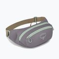Saszetka nerka Osprey Daylite Waist 2 l soundwave grey/ latte brown 2