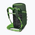 Plecak turystyczny Osprey Jet 28 l green canopy 3