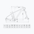 Rower górski Kellys Spider X50 29" slate grey 2