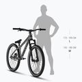 Rower dirtowy Kellys Whip 10 DX 26" frosted green 3