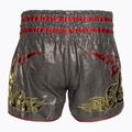 Spodenki treningowe Top King Kickboxing grey 2