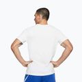 Koszulka męska Nike Dri-Fit smokey white/black 3