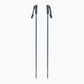 Kije narciarskie Fischer RC4 Noize grey / blue