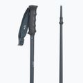 Kije narciarskie Fischer Lite asphalt grey 3