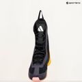 Buty bokserskie adidas Speedex Ultra aurora black/zero met/core black 9