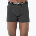 Bokserki termoaktywne męskie icebreaker Anatomica gritstone hthr 5