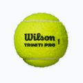 Piłki tenisowe Wilson Triniti Pro 3 szt. yellow 2