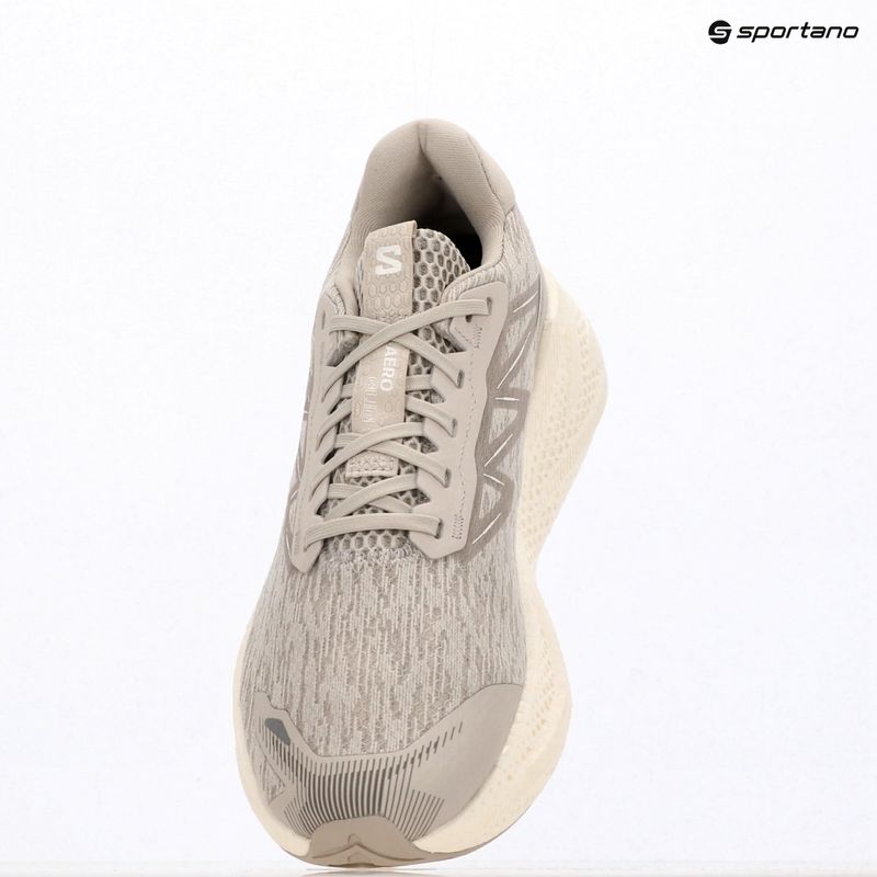 Buty do biegania męskie Salomon Aero Glide 4 silver/silver/white 7