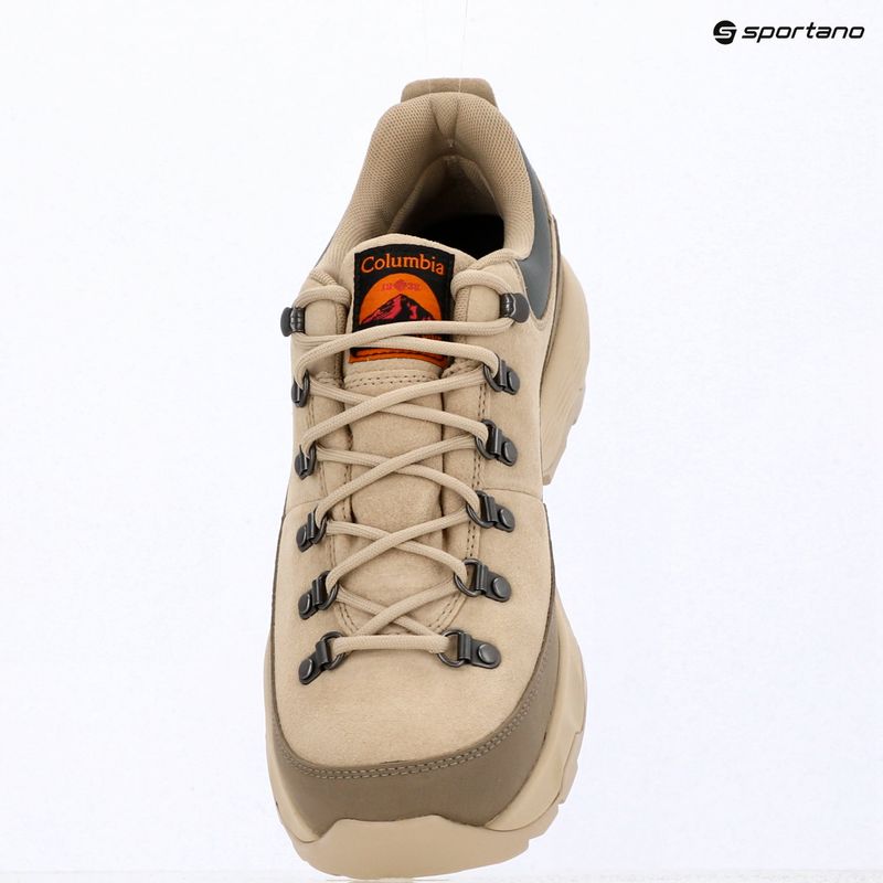 Buty trekkingowe męskie Columbia Newton Alpine Low fossil/sedona sage 15