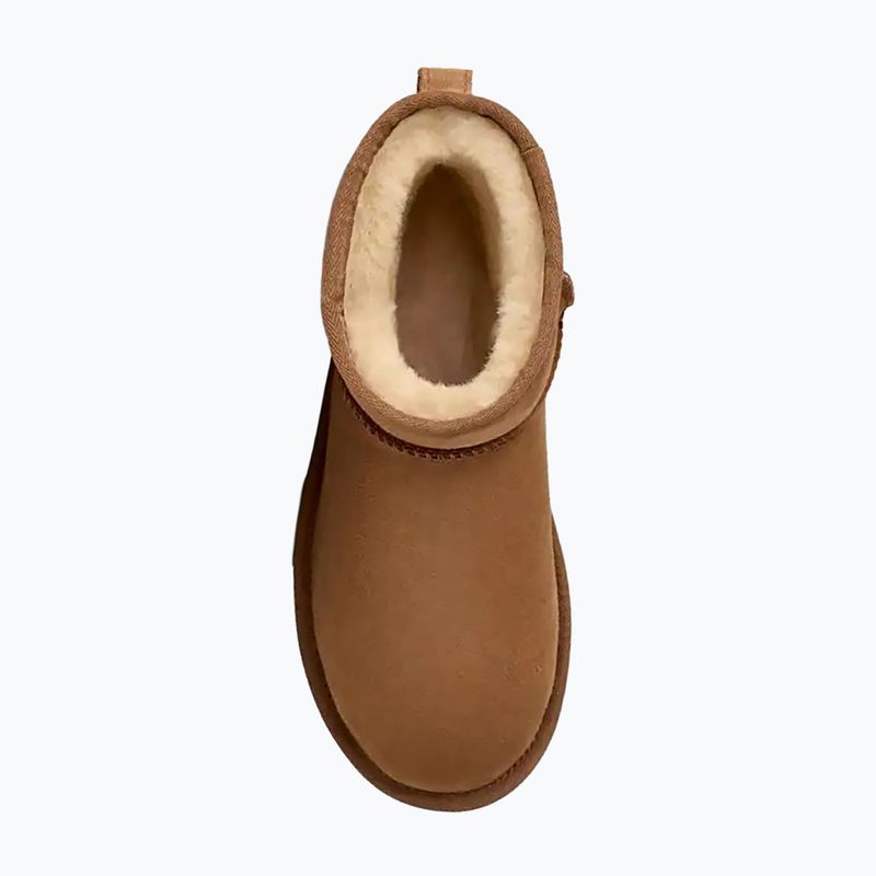Śniegowce damskie UGG Classic Mini II chestnut 5