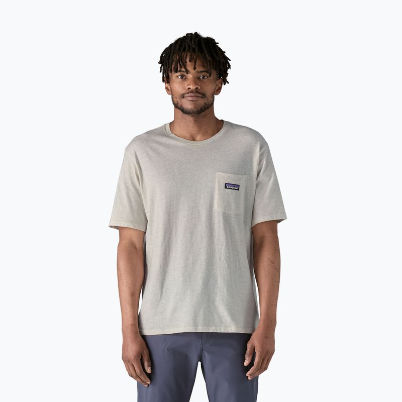Koszulka męska Patagonia Daily Pocket Tee birch white