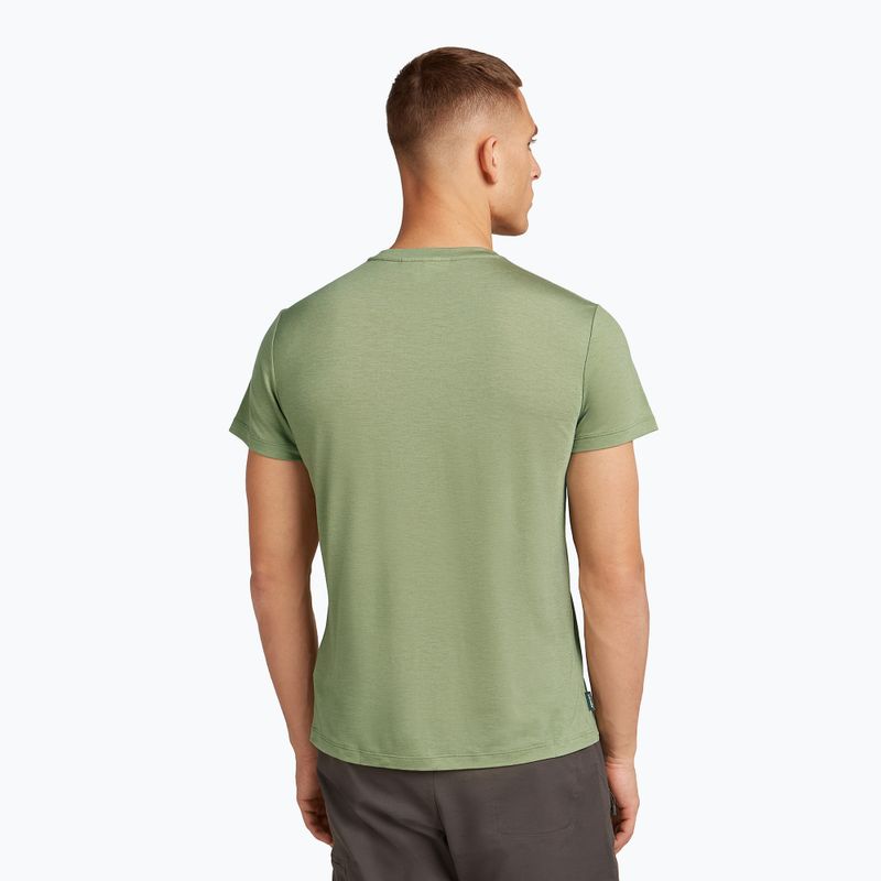 Koszulka męska Icebreaker Merino Core Tee lichen 3