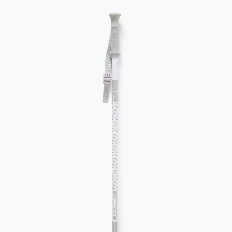 Kije narciarskie Salomon Polar Access white 2