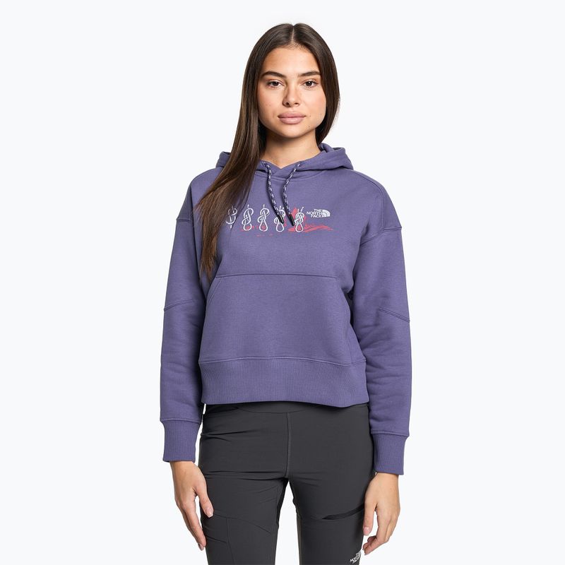 Bluza trekkingowa damska The North Face Outdoor Graphic Hoodie cave blue