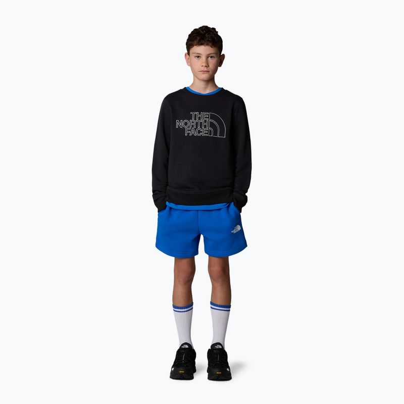 Spodenki dziecięce The North Face Regular Cotton hero blue 2