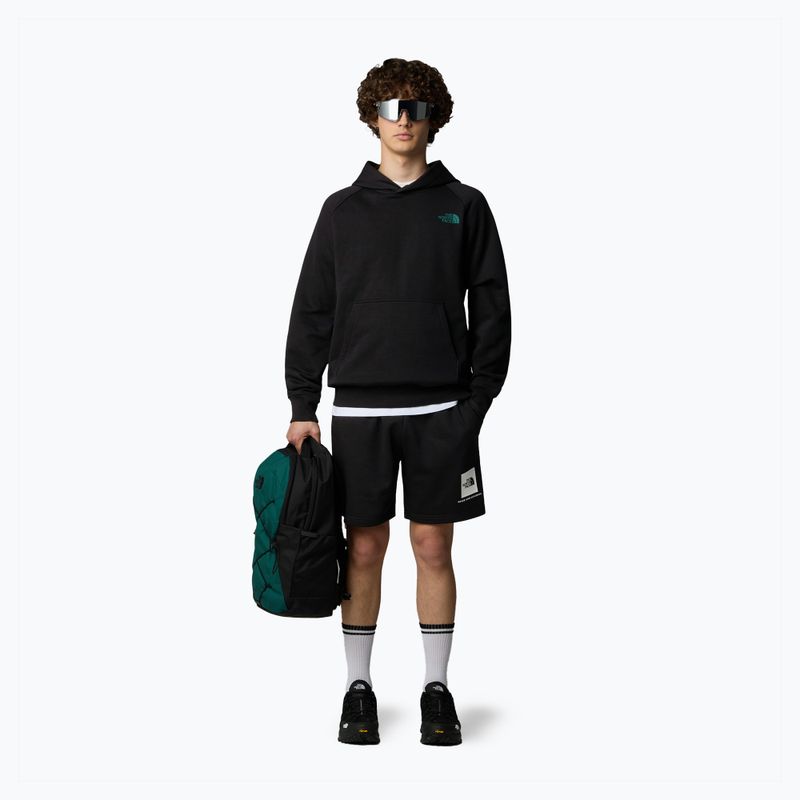 Spodenki trekkingowe męskie The North Face Box Nse Regular tnf black/tnf white 2