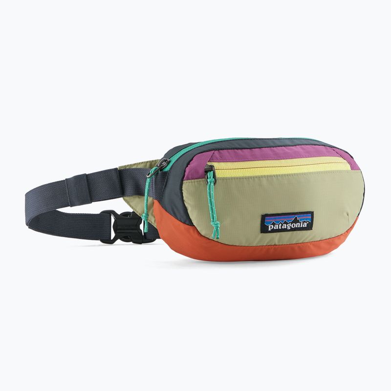 Saszetka nerka Patagonia Terravia Mini Hip patchwork/gumtree green