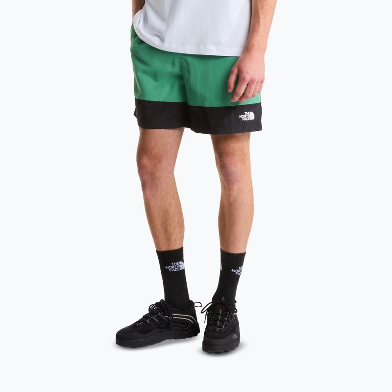 Spodenki trekkingowe męskie The North Face Leynar dimmed algae/tnf black
