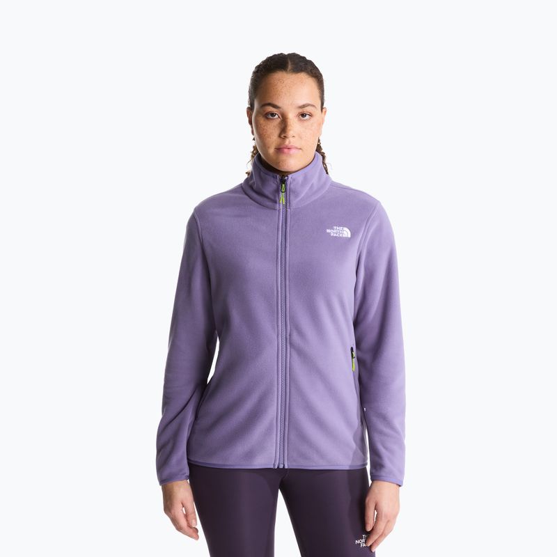 Bluza polarowa damska The North Face Glacier Fleece grounded plum
