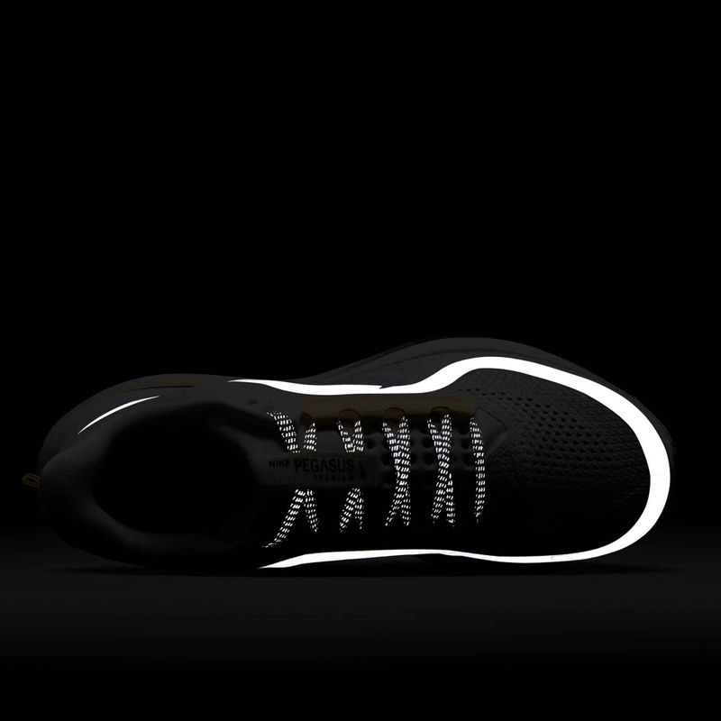 Buty do biegania damskie Nike Pegasus Premium sail/alabaster/anthracite/white 10