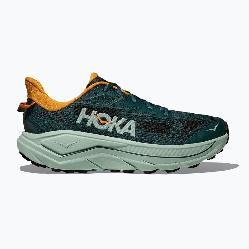 Buty do biegania męskie HOKA Challenger 8 bay leaf/sage 10