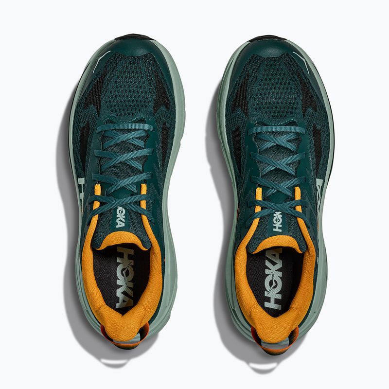 Buty do biegania męskie HOKA Challenger 8 bay leaf/sage 14