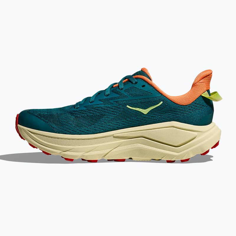 Buty do biegania damskie HOKA Challenger 8 tidal wave/pampas grass 11