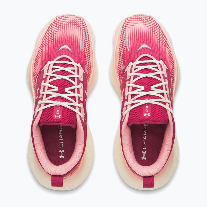 Buty treningowe damskie Under Armour Pulse claret/posh pink/posh pink 10