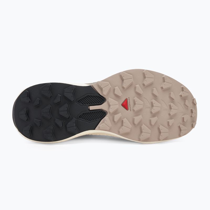 Buty do biegania damskie Salomon Pulsar cyclamen/vanilla ice/etherea 4