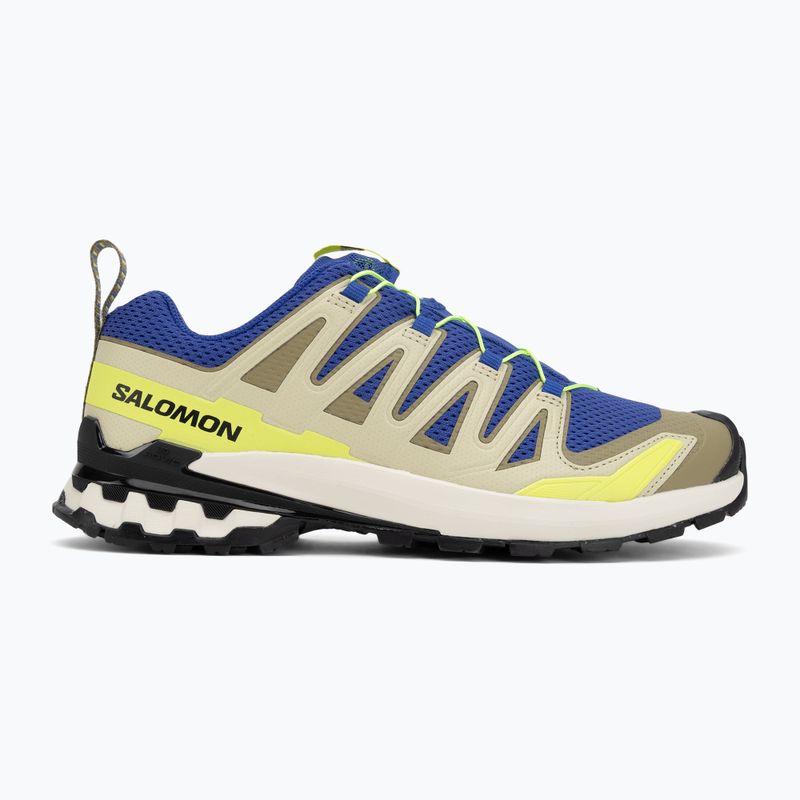 Buty do bieganie męskie Salomon XA Pro 3D V9 bluing/bog/acid lime 2