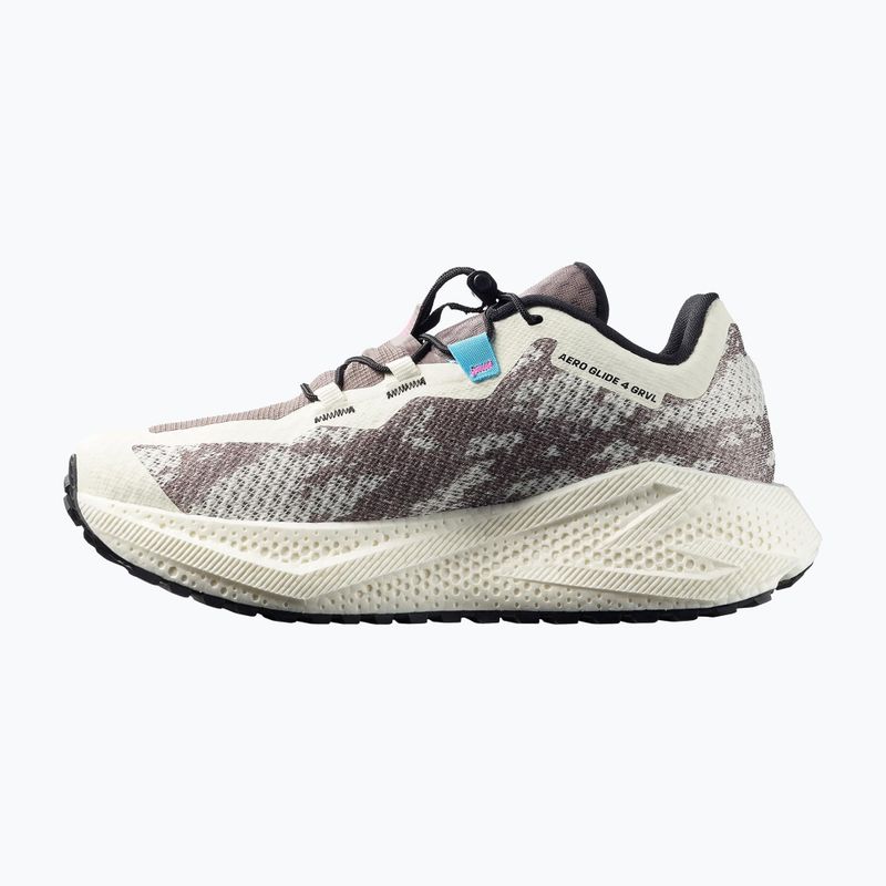 Buty do biegania męskie Salomon Aero Glide 4 GRVL vanilla ice/black/iron 2