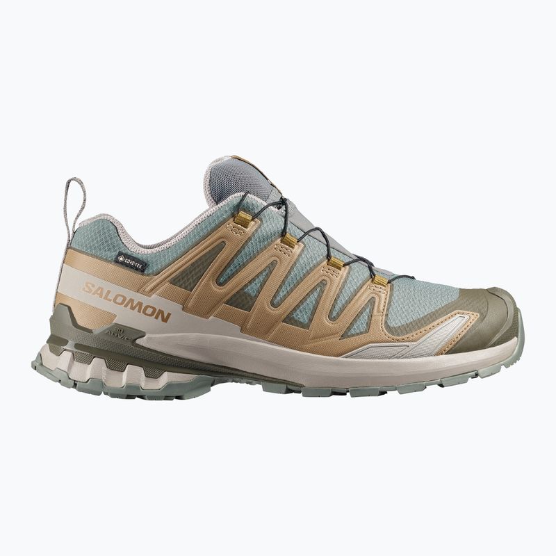 Buty do biegania męskie Salomon XA Pro 3D V9 GTX sedona sage/brilliant olive 8