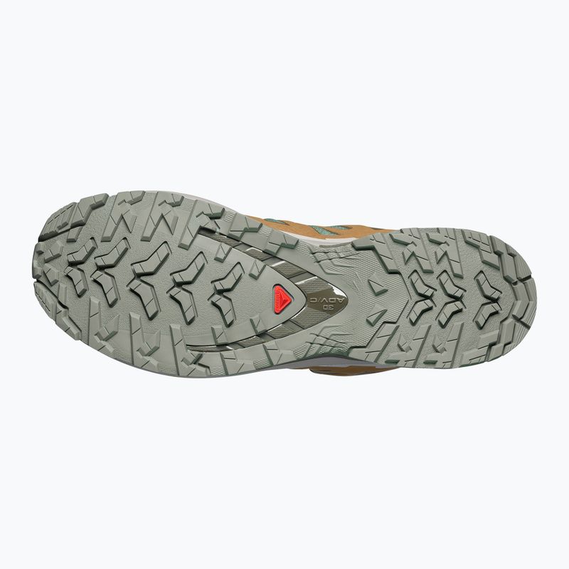 Buty do biegania męskie Salomon XA Pro 3D V9 GTX sedona sage/brilliant olive 11
