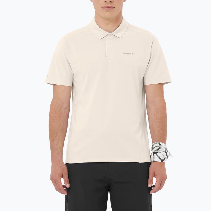 Koszulka polo męska Salomon Trackline Polo silver cloud