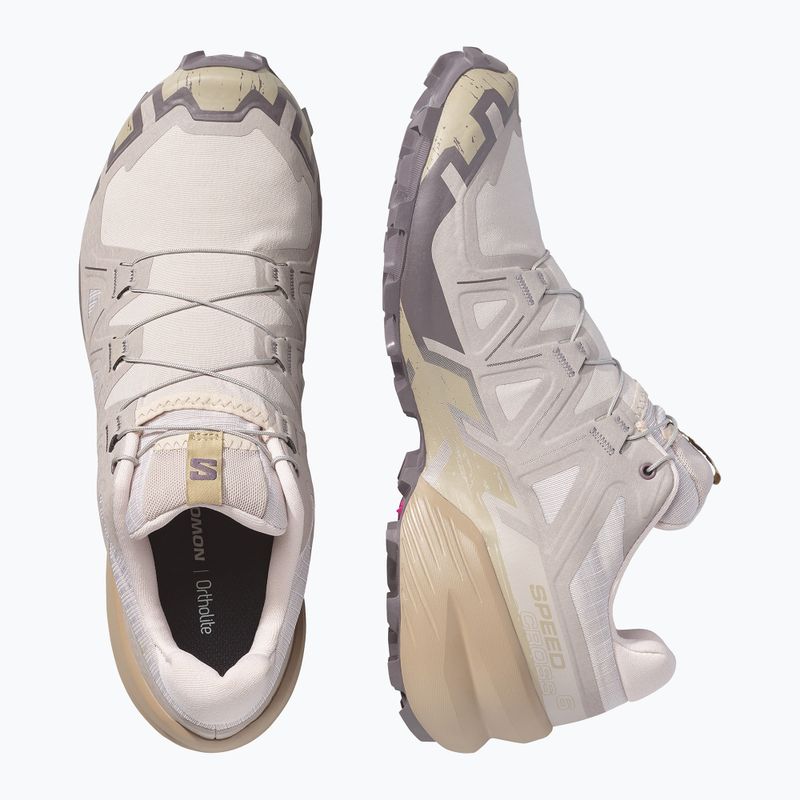 Buty do biegania męskie Salomon Speedcross 6 silver cloud/paloma 11