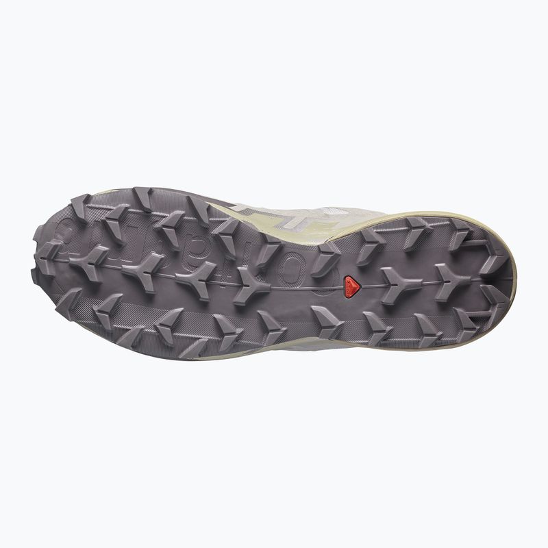 Buty do biegania męskie Salomon Speedcross 6 silver cloud/paloma 12