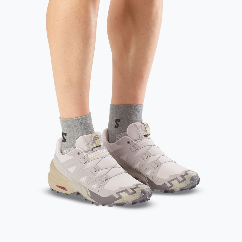 Buty do biegania męskie Salomon Speedcross 6 silver cloud/paloma 13