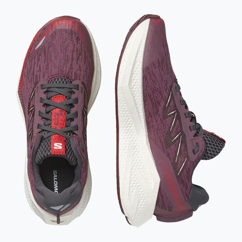 Buty do biegania damskie Salomon Aero Glide 4 huckleberry/vanilla ice 10